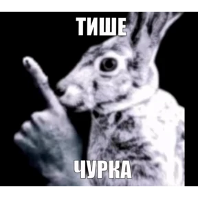 Е6аный насрал — стикер для MAX