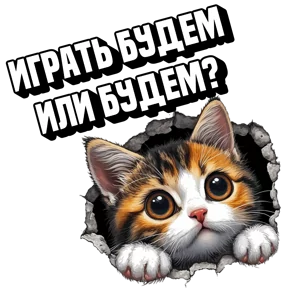 Стикер