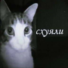 ФАТАЖАБЫ — стикер для MAX