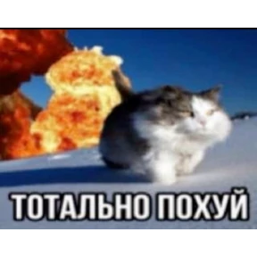 Shreks — стикер для MAX
