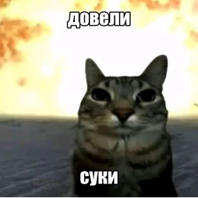 Shreks — стикер для MAX