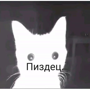 Shreks — стикер для MAX