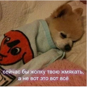 Мем-пак — стикер для MAX