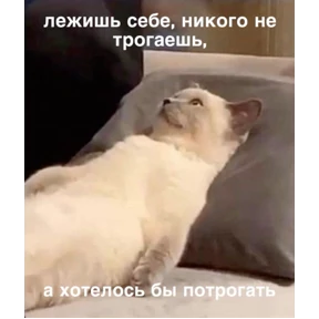 Мем-пак — стикер для MAX