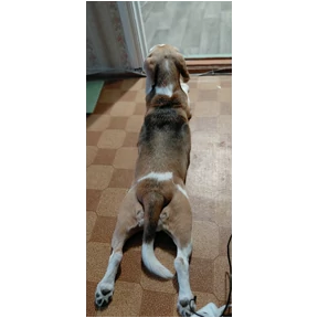 Наши — стикер для MAX
