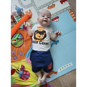 Лёва — стикер для MAX