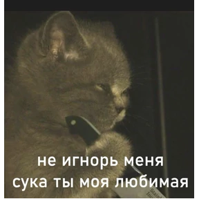 Мемы — стикер для MAX
