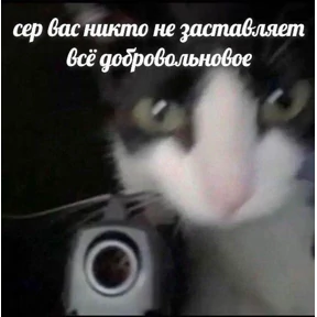 Мемы — стикер для MAX