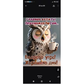Лот — стикер для MAX