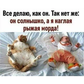 Лот — стикер для MAX