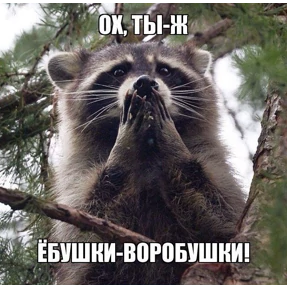 Это всё моё — стикер для MAX