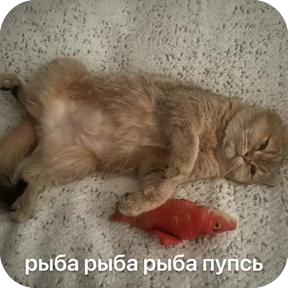 Булосьная полисия — стикер для MAX
