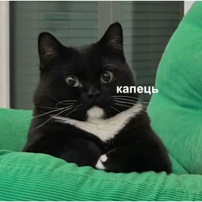 Уло, перезвони мне — стикер для MAX