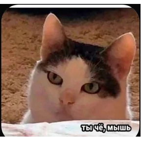 Уло, перезвони мне — стикер для MAX