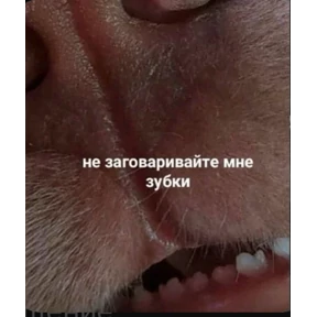 Уло, перезвони мне — стикер для MAX