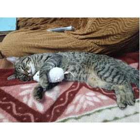 Максимальян — стикер для MAX