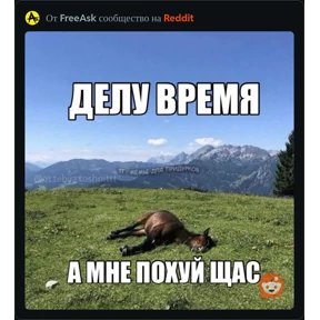 Редит — стикер для MAX
