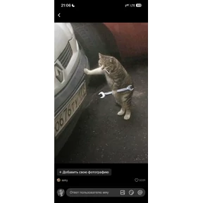 с Писюней — стикер для MAX