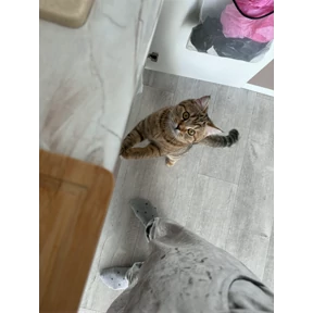 Мои — стикер для MAX