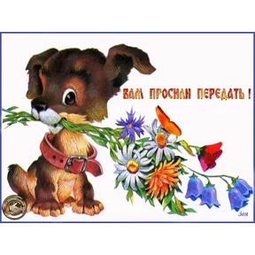 Мои — стикер для MAX