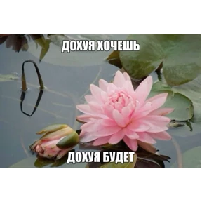 ам — стикер для MAX