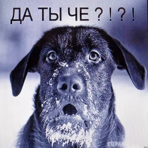 МОИ СТИКЕРЫ — стикер для MAX