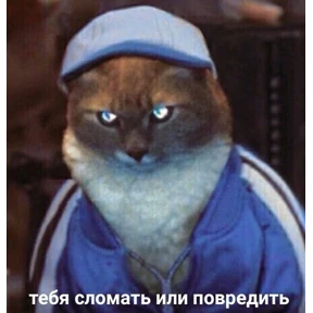 1 набор — стикер для MAX