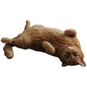 Арсик — стикер для MAX