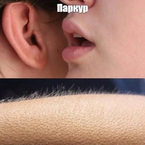 Syanya MOOD — стикер для MAX
