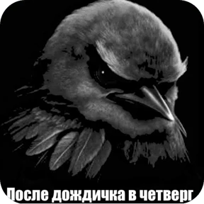 Вряд-ли — стикер для MAX