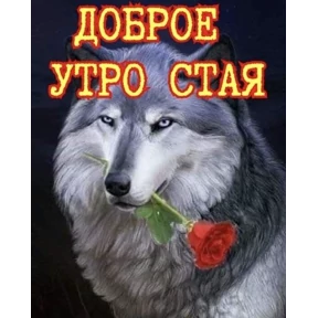 Свага — стикер для MAX