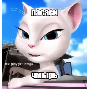 Свага — стикер для MAX