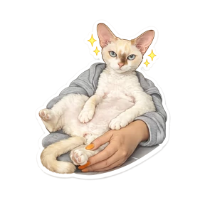 АЙС — стикер для MAX
