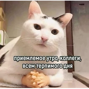 резедулькины переговоры — стикер для MAX