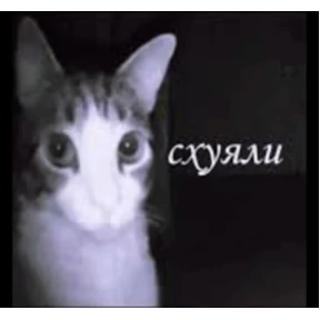 резедулькины переговоры — стикер для MAX