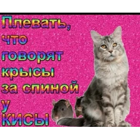 резедулькины переговоры — стикер для MAX