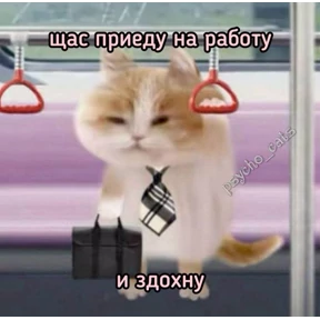 резедулькины переговоры — стикер для MAX