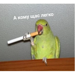 резедулькины переговоры — стикер для MAX