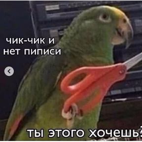 резедулькины переговоры — стикер для MAX