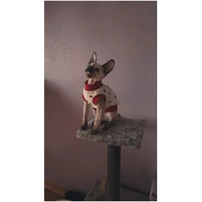 Мия — стикер для MAX