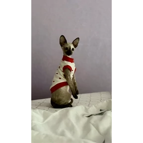 Мия — стикер для MAX