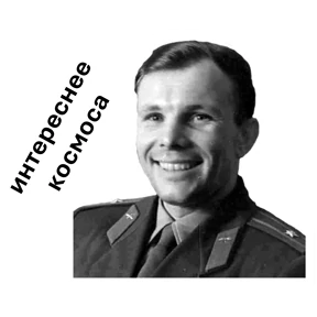 сибирь словами гостей — стикер для MAX