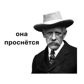сибирь словами гостей — стикер для MAX