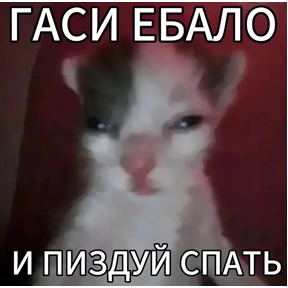 На случай вп 2.0 — стикер для MAX