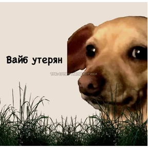 На случай вп 2.0 — стикер для MAX
