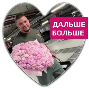 Гусь — стикер для MAX