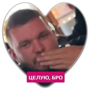 Гусь — стикер для MAX