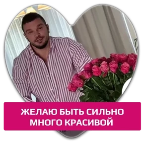 Гусь — стикер для MAX