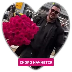 Гусь — стикер для MAX