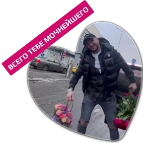 Гусь — стикер для MAX